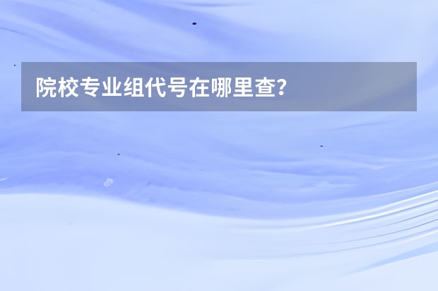 院校专业组代号在哪里查？