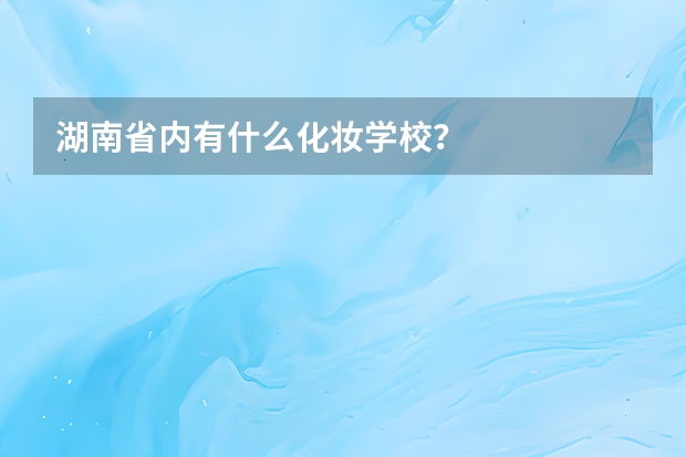 湖南省内有什么化妆学校？