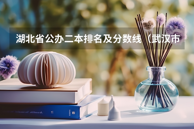湖北省公办二本排名及分数线（武汉市二本大学排名及分数线）