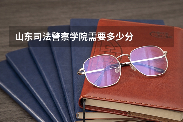 山东司法警察学院需要多少分