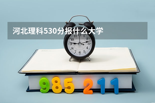 河北理科530分报什么大学
