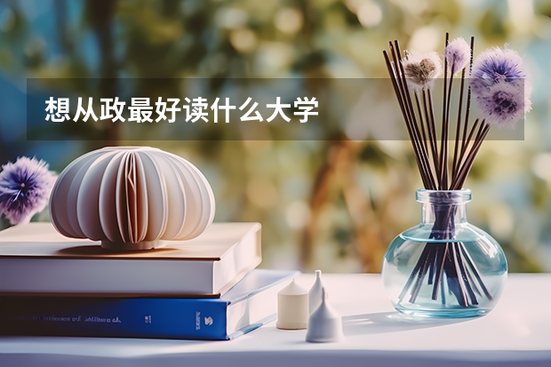 想从政最好读什么大学