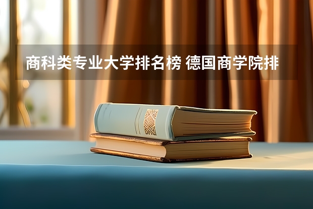商科类专业大学排名榜 德国商学院排名