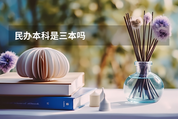民办本科是三本吗