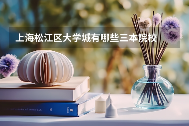 上海松江区大学城有哪些三本院校