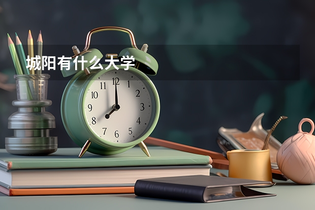城阳有什么大学