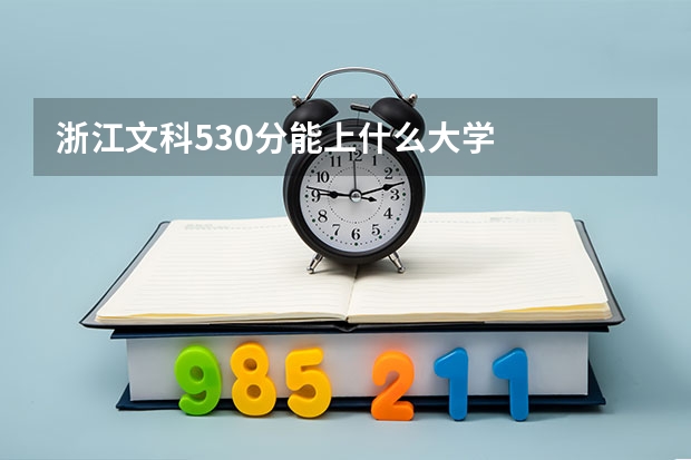 浙江文科530分能上什么大学