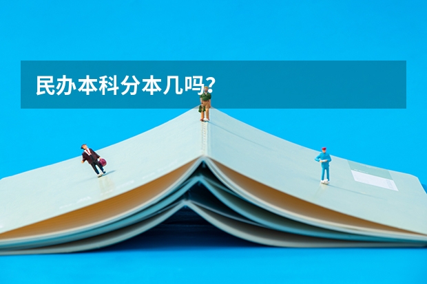 民办本科分本几吗？