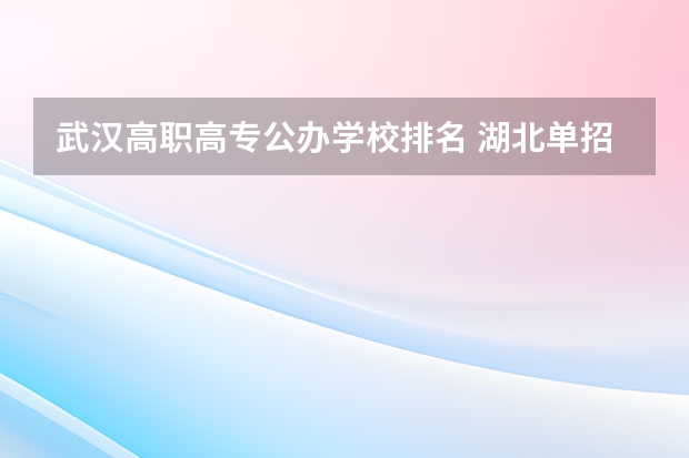武汉高职高专公办学校排名 湖北单招学校排名前十