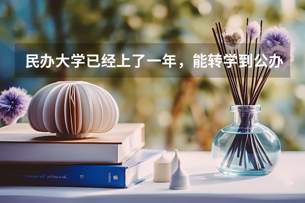 民办大学已经上了一年，能转学到公办大学吗?