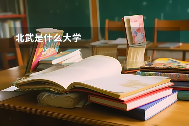北武是什么大学