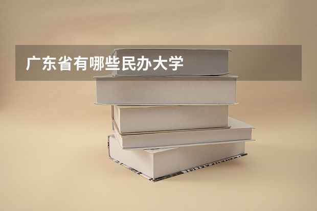 广东省有哪些民办大学