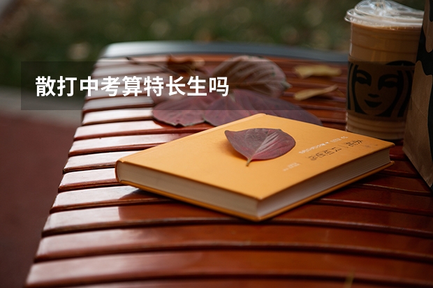 散打中考算特长生吗