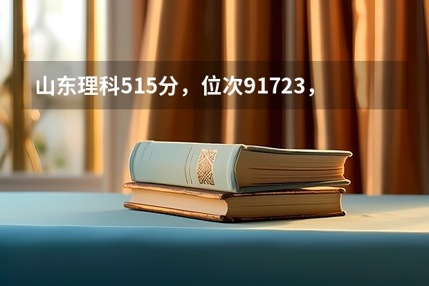 山东理科515分，位次91723，能报考什么大学