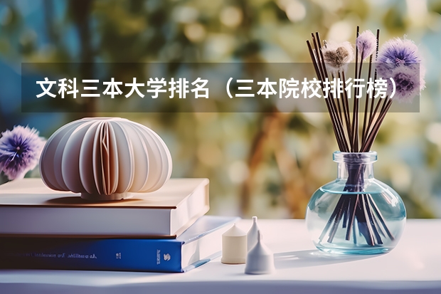 文科三本大学排名(三本院校排行榜)