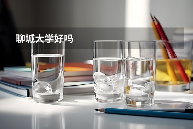 聊城大学好吗