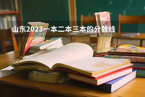 山东2023一本二本三本的分数线 山东大学2023分数线？