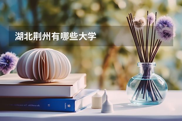 湖北荆州有哪些大学