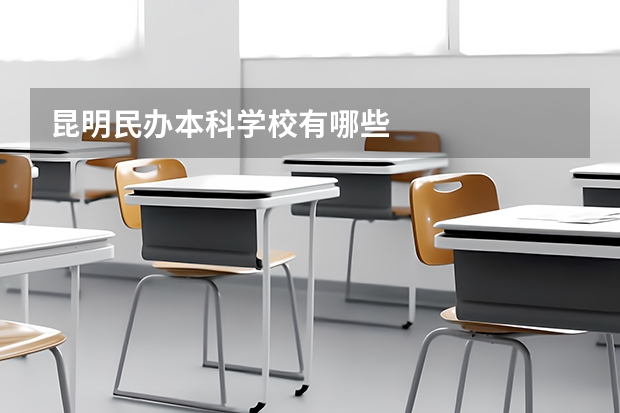 昆明民办本科学校有哪些