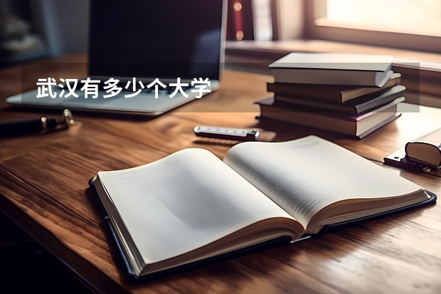 武汉有多少个大学