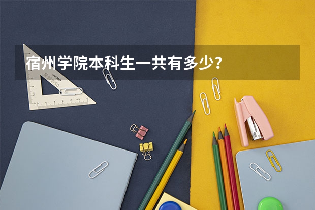 宿州学院本科生一共有多少？