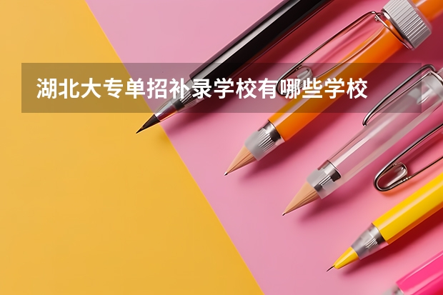 湖北大专单招补录学校有哪些学校