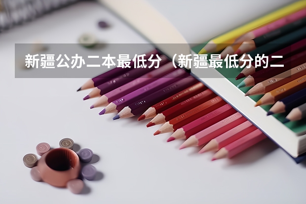新疆公办二本最低分（新疆最低分的二本大学）