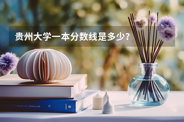 贵州大学一本分数线是多少？
