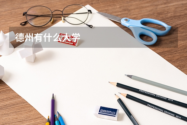 德州有什么大学