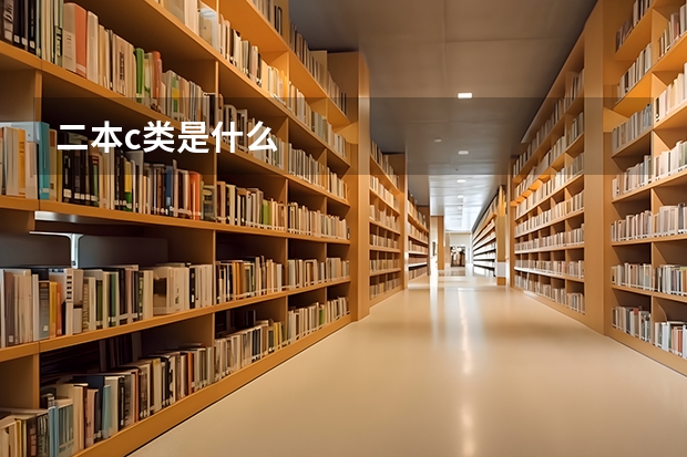 二本c类是什么