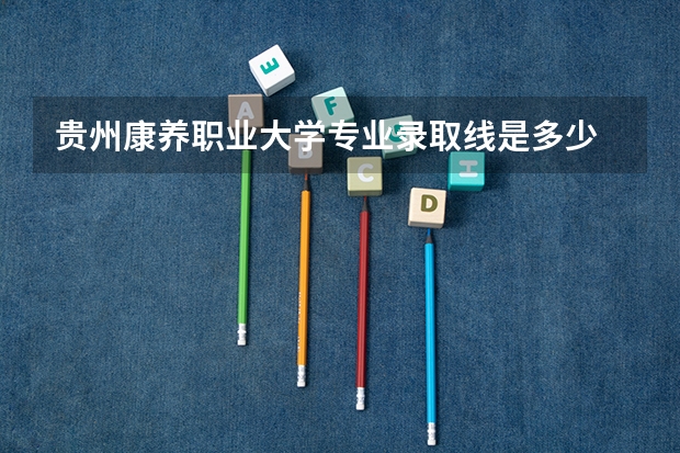 贵州康养职业大学专业录取线是多少