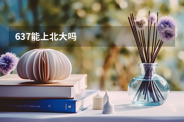 637能上北大吗