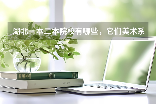 湖北一本二本院校有哪些，它们美术系怎么样？要学生的想法，最好在那里读过，详细点