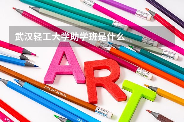 武汉轻工大学助学班是什么