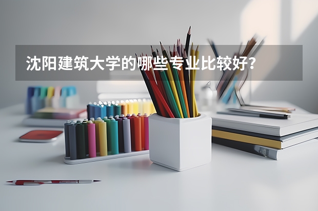沈阳建筑大学的哪些专业比较好？