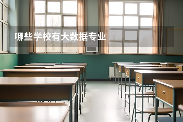 哪些学校有大数据专业