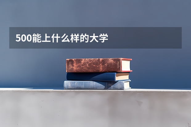 500能上什么样的大学
