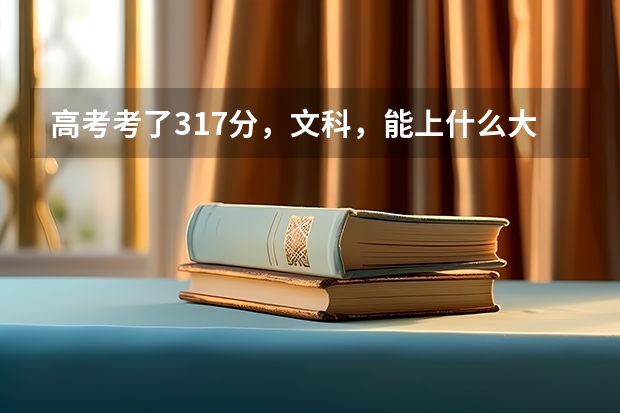 高考考了317分，文科，能上什么大学？