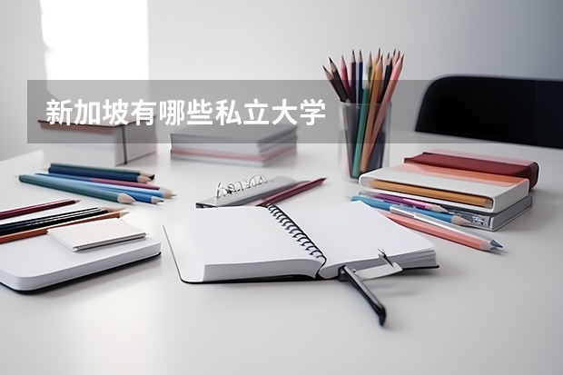 新加坡有哪些私立大学