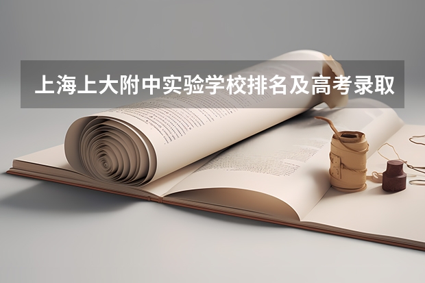 上海上大附中实验学校排名及高考录取率（上海高考的选科问题 化学OR历史）