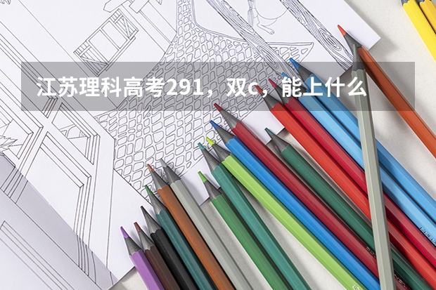 江苏理科高考291，双c，能上什么大学
