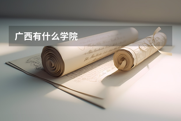 广西有什么学院