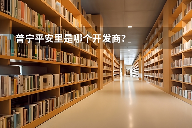 普宁平安里是哪个开发商？