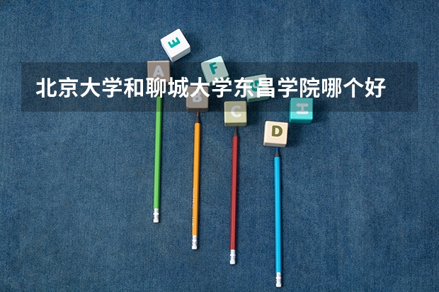 北京大学和聊城大学东昌学院哪个好 分数线对比