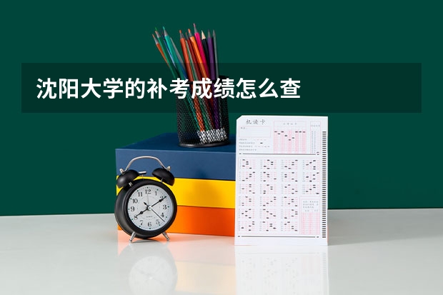 沈阳大学的补考成绩怎么查
