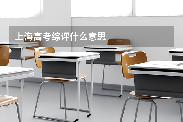 上海高考综评什么意思