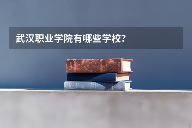武汉职业学院有哪些学校？