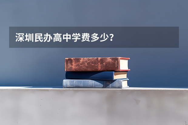 深圳民办高中学费多少？