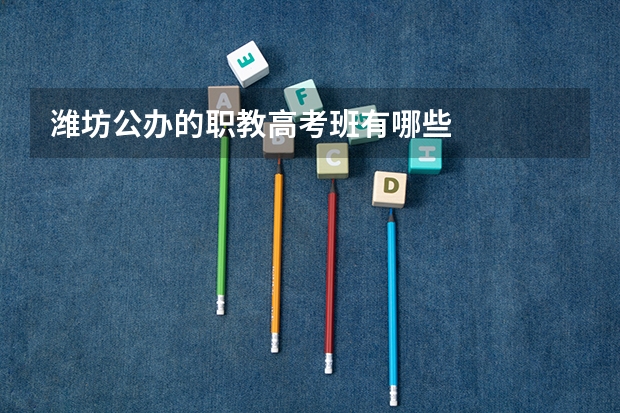 潍坊公办的职教高考班有哪些