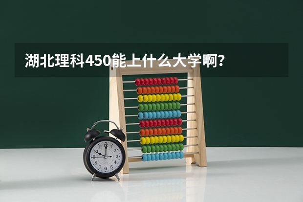 湖北理科450能上什么大学啊？